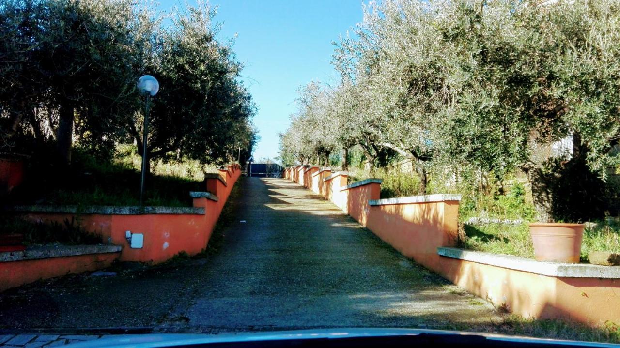 Locazione Turistica Dream House Marzia Villa Rome Exterior photo