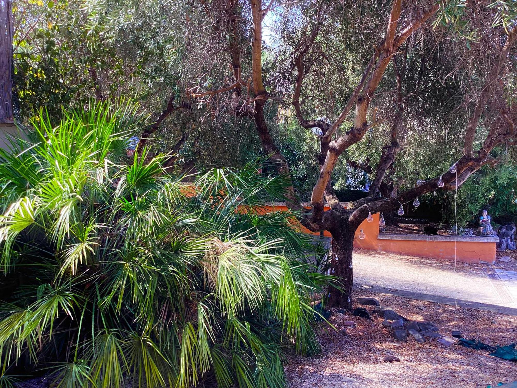 Locazione Turistica Dream House Marzia Villa Rome Exterior photo